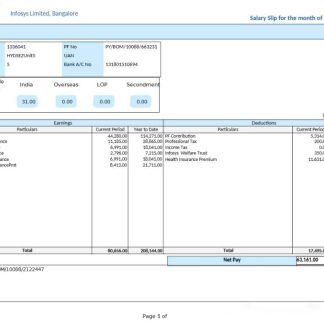 Infinity Engineering Solutions payslip template in Word and PDF formats.pdf, 1 download template file