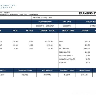 information technology company paystub template in Word and PDF formats download template file