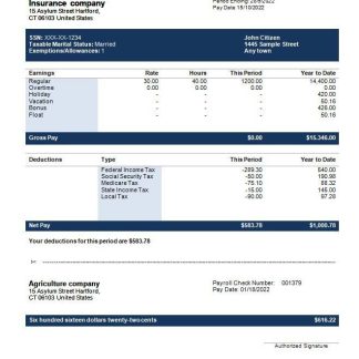 Infosys technology company salary slip template in Word and PDF formats.pdf, 2 download template file