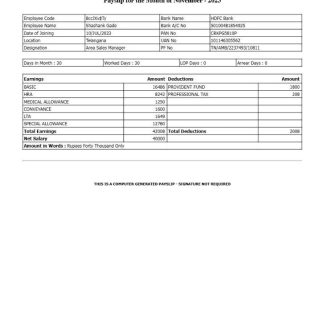 infrastructure company payslip template in Word and PDF formats download template file