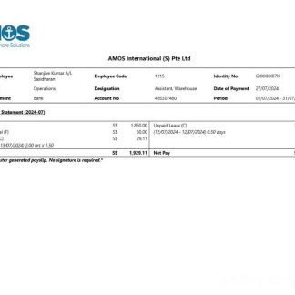 American Eagle earnings statement template in Word and PDF formats.pdf, 1 download template file