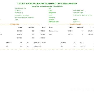 IppoPay Technologies payslip template in Word and PDF formats.pdf, 1 download template file