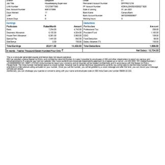 IRELAND ACCENTURE IT company earning statement in Word and PDF formats download template file