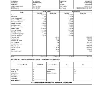 Jali Transport payslip template in Word and PDF formats.pdf, 1 download template file