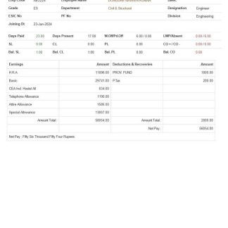 AMOS International earnings summary template in Word and PDF formats.pdf, 1 download template file