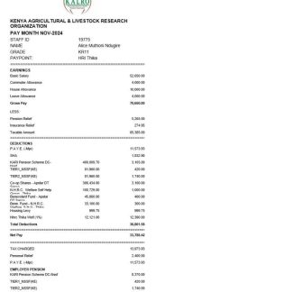 Kaufland Romania SCS Paystub download template file