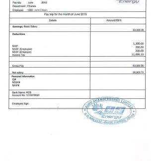 Kedia Capital Services investment services payslip template in Word and PDF formats.pdf, 1 download template file