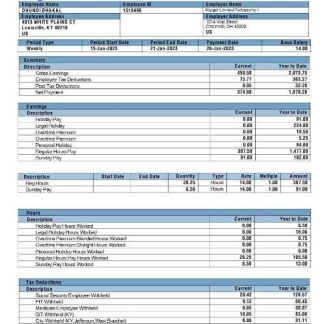 Kloudserve Software payslip template in Word and PDF formats.pdf, 1 download template file