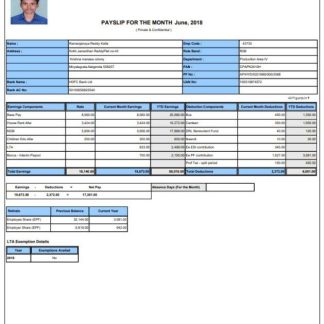 KROGER statement of earning & deductions template in Word and PDF formats.pdf, 1 download template file