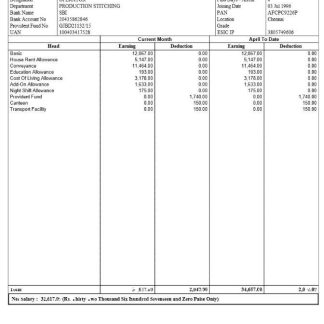 La Belle Organisation Paystub Word and PDF template download template file