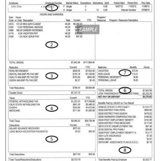 Learning Center Monthly Paystub Word and PDF template download template file