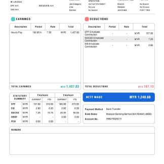 LENVICA computer solutions Pvt Ltd payslip in Word and PDF formats download template file