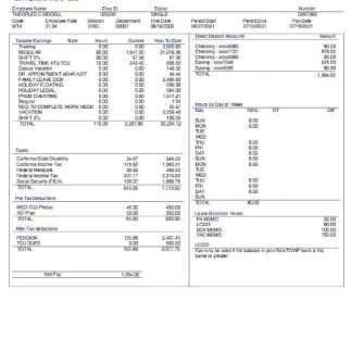 LG Soft India payslip template in Word and PDF formats.pdf, 1 download template file
