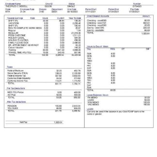 LGS Staffing pay stub in PDF and Word format download template file