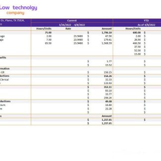 Lockport City School pay stub Word and PDF template download template file