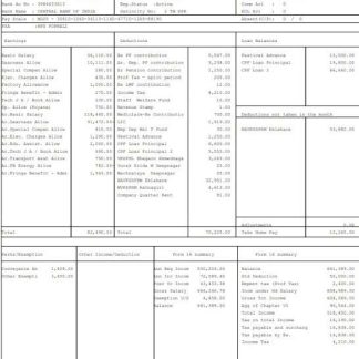 Los Angeles County Metropolitan Transportation Authority employee pay stub.pdf, 1 download template file