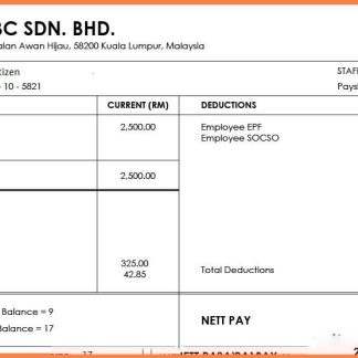 low technology company paystub template in Word and PDF formats download template file