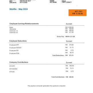 Lubbock Independent School District teacher pay stub Word and PDF template download template file