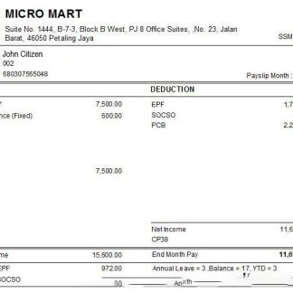 Luxottica Retail Paystub download template file
