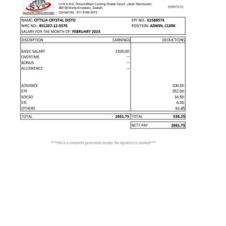 M3 WAKE RESEARCH INC earnings statement template in Word and PDF formats.pdf, 1 download template file
