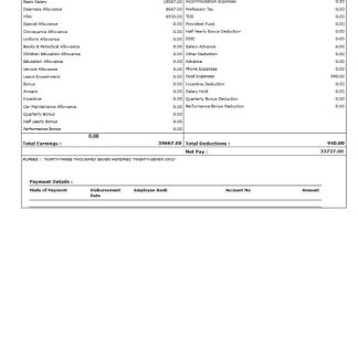 Mahindra Financial Services LTD payslip template in Word and PDF formats.pdf, 1 download template file
