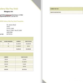 MALAYSIA MICRO MART payslip template in Word and PDF formats download template file