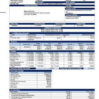 Malaysia Salmang Yakin construction company payslip template in Word and PDF formats.pdf, 1 download template file