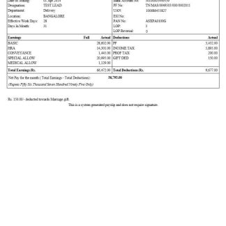 Manikaran Power payslip template in Word and PDF formats.pdf, 1 download template file