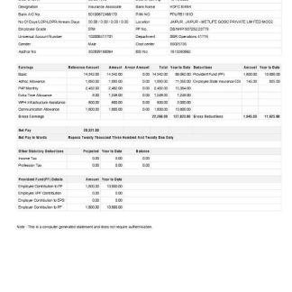 Marriott International payslip template in Word and PDF formats.pdf, 1 download template file