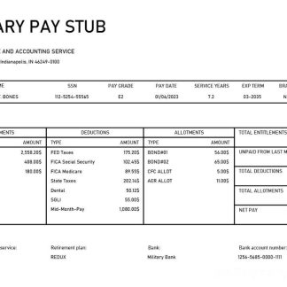 Maveric Systems engineering company payslip template in Word and PDF formats.pdf, 1 download template file