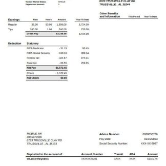 McCarthy Wild Services, Inc․ pay stubs template in Word and PDF formats.pdf, 1 download template file