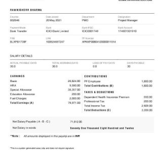 Military Pay Stub Template download template file
