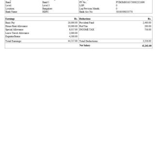 Military Pay Stub Template in Excel and PDF formats download template file