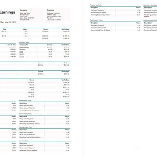 Mobie INK earnings statement download template file