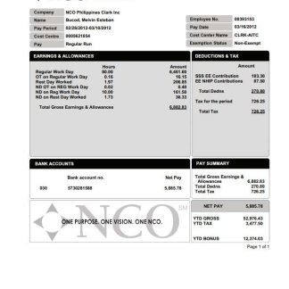 Mraz and Sons earnings statement download template file