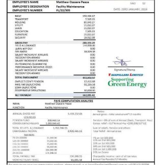Nanny Knowledge LLC pay stub Word and PDF template download template file