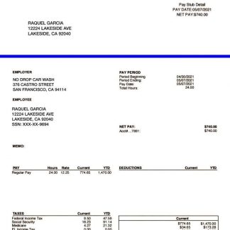 New World Doctor’s Hospital Physician Pay Stub in PDf and Word formats download template file