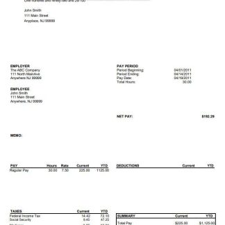 NGA Staffing pay stub in PDF and Word format download template file