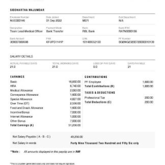 Nigeria Fasapillars Limited corporate office payslip template in Word and PDF formats.pdf, 1 download template file
