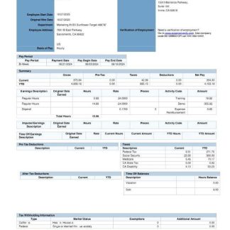 NO DROP CAR WASH pay stub in PDF and Word formats download template file