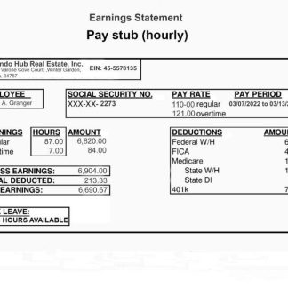 Oceanview Medical Paystub download template file