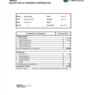 Oracle Payroll Advantage Sales & Marketing LLC payslip template in Word and PDF formats.pdf, 2 download template file