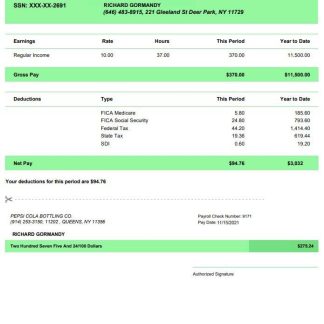 Orange County Superintendent of schools pay stub in PDF and Word format download template file