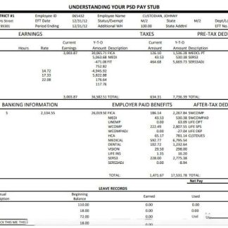 ORLANDO HUB REAL ESTATE inc earnings statement in PDF and Word format download template file