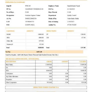 Pacific International Paving earnings statement template in Word and PDF formats.pdf, 1 download template file