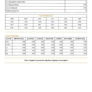 Packing Pay Stub Template download template file