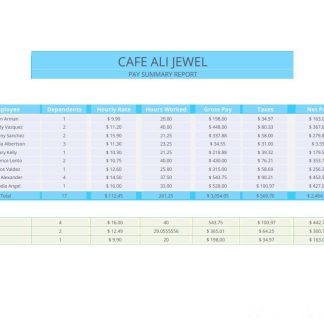 PAKISTAN MARTIN Dow paystlip template in Word and PDF formats download template file