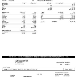 PAKISTAN TMIRCO company earning statemetn in Word and PDF formats download template file