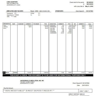 Papsi Cola bottling co earnings statement in PDf and Word formats download template file