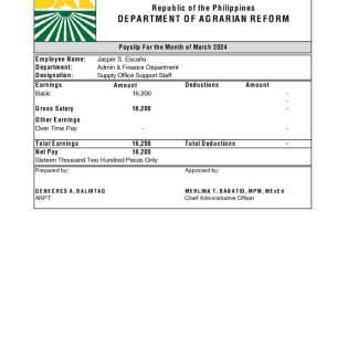 Patil Rail Infrastructure payslip template in Word and PDF formats.pdf, 1 download template file